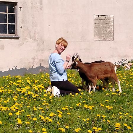 Hof Ruemland Ferienwohnungen Hollingstedt Bagian luar foto