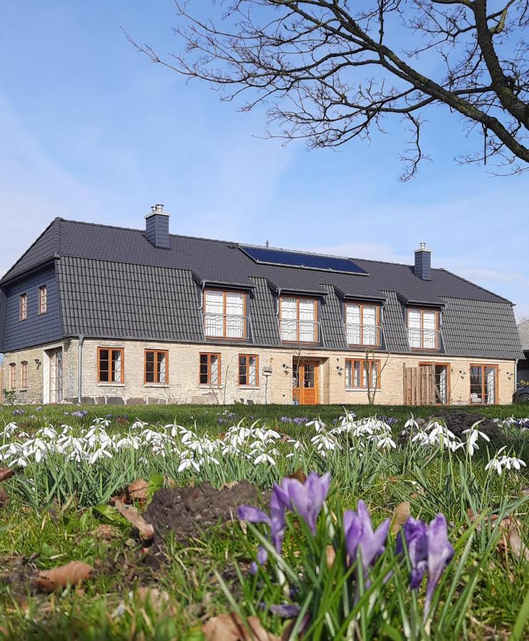 Hof Ruemland Ferienwohnungen Hollingstedt Bagian luar foto